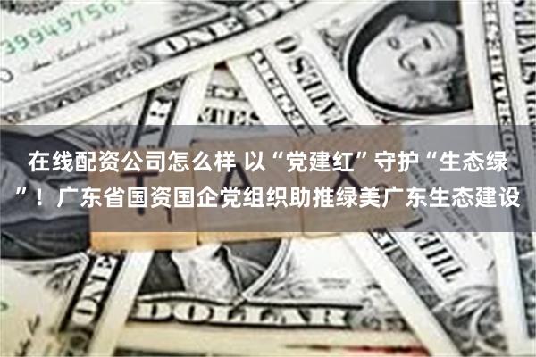 在线配资公司怎么样 以“党建红”守护“生态绿”！广东省国资国企党组织助推绿美广东生态建设