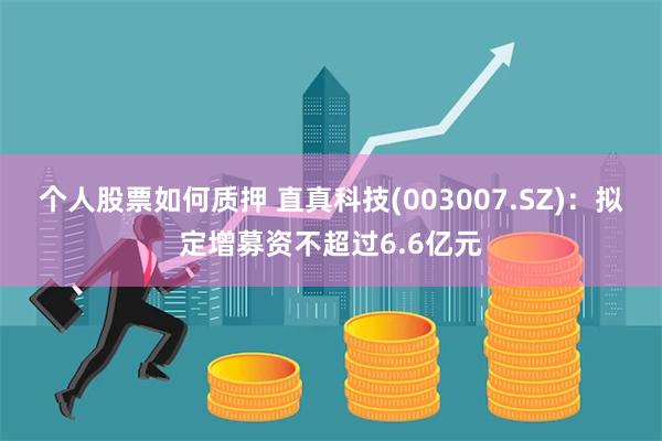 个人股票如何质押 直真科技(003007.SZ)：拟定增募资不超过6.6亿元