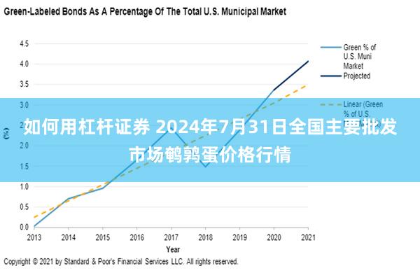 如何用杠杆证券 2024年7月31日全国主要批发市场鹌鹑蛋价格行情