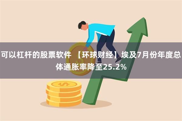 可以杠杆的股票软件 【环球财经】埃及7月份年度总体通胀率降至25.2%