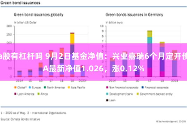 a股有杠杆吗 9月2日基金净值：兴业嘉瑞6个月定开债A最新净值1.026，涨0.12%