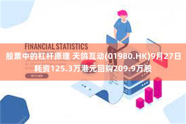 股票中的杠杆原理 天鸽互动(01980.HK)9月27日耗资125.3万港元回购209.9万股