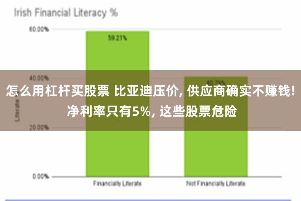 怎么用杠杆买股票 比亚迪压价, 供应商确实不赚钱! 净利率只有5%, 这些股票危险