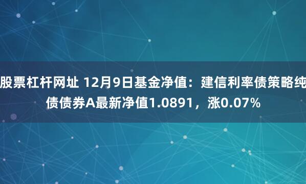 股票杠杆网址 12月9日基金净值：建信利率债策略纯债债券A最新净值1.0891，涨0.07%