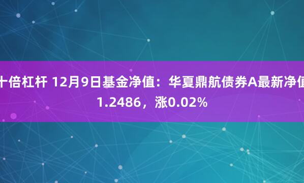 十倍杠杆 12月9日基金净值：华夏鼎航债券A最新净值1.2486，涨0.02%