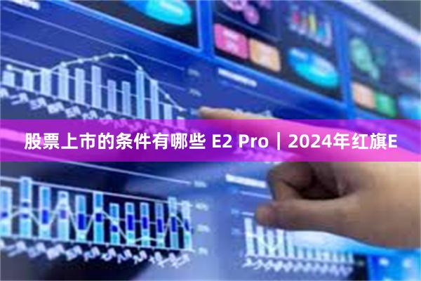 股票上市的条件有哪些 E2 Pro｜2024年红旗E