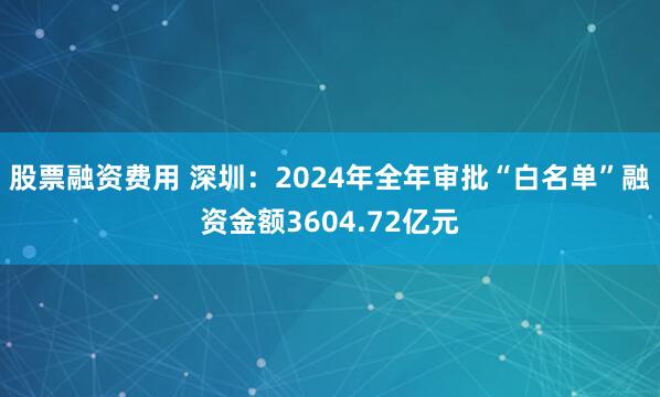 股票融资费用 深圳：2024年全年审批“白名单”融资金额3604.72亿元