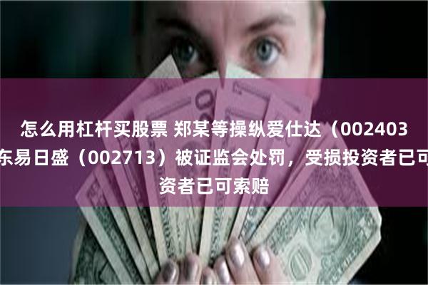 怎么用杠杆买股票 郑某等操纵爱仕达（002403）、东易日盛（002713）被证监会处罚，受损投资者已可索赔