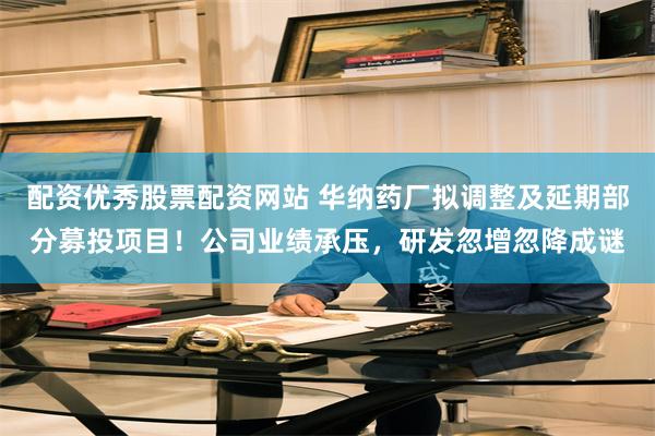 配资优秀股票配资网站 华纳药厂拟调整及延期部分募投项目!公司业绩承压,研发忽增忽降成谜