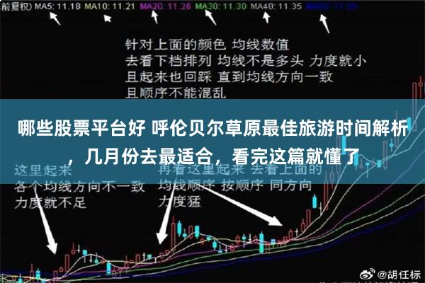 哪些股票平台好 呼伦贝尔草原最佳旅游时间解析，几月份去最适合，看完这篇就懂了