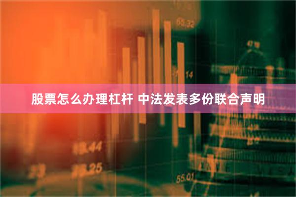 股票怎么办理杠杆 中法发表多份联合声明