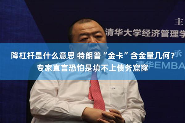 降杠杆是什么意思 特朗普“金卡”含金量几何？专家直言恐怕是填不上债务窟窿